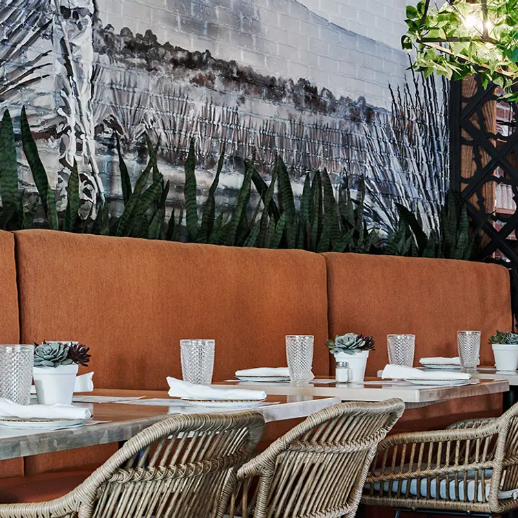 Photo credit: opentable