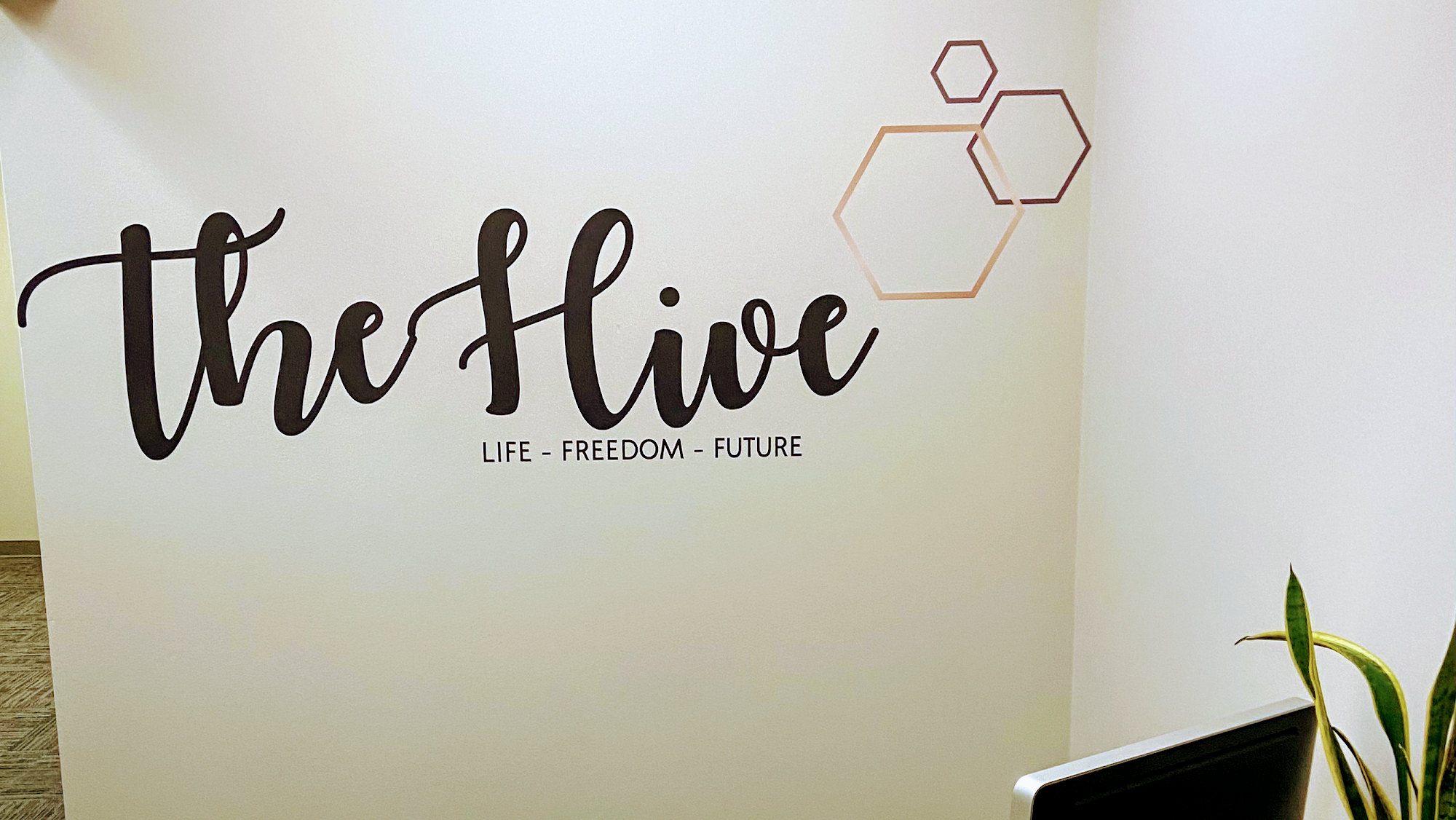 The Hive Chiropractic Foundation