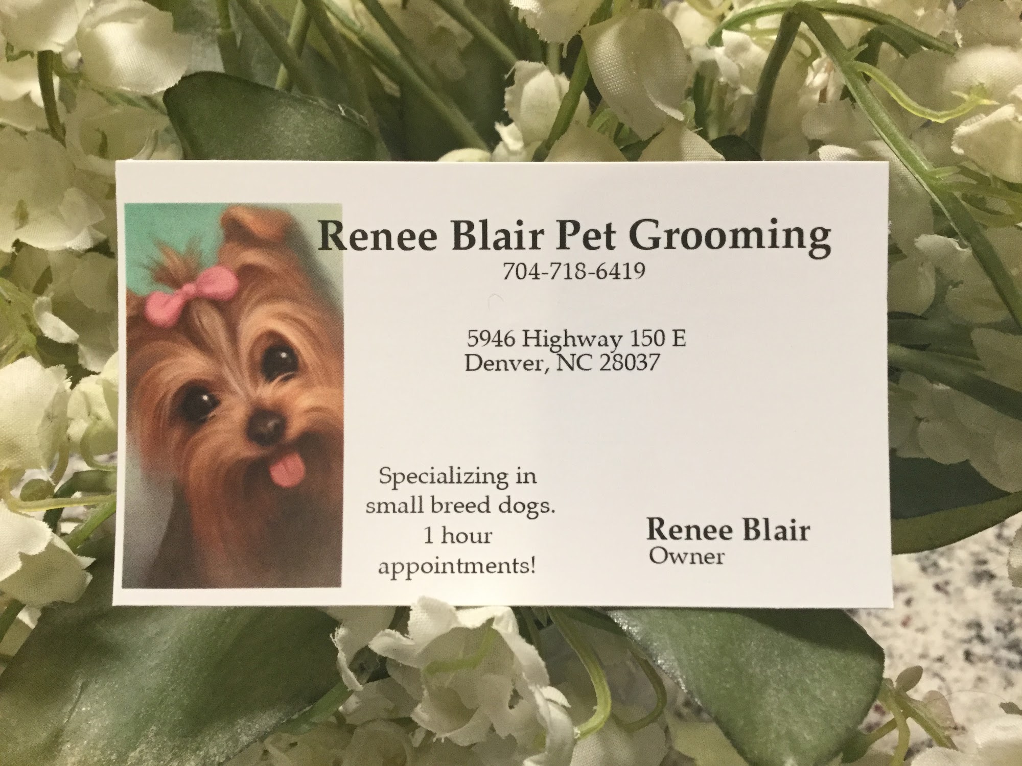 Renee Blair Pet Grooming