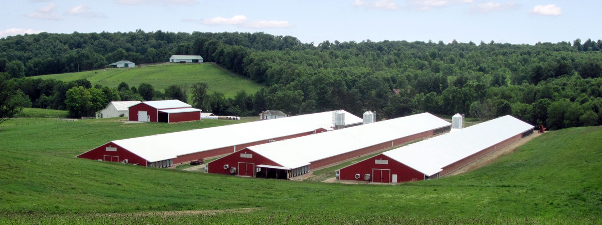 Case Farms Goldsboro Division