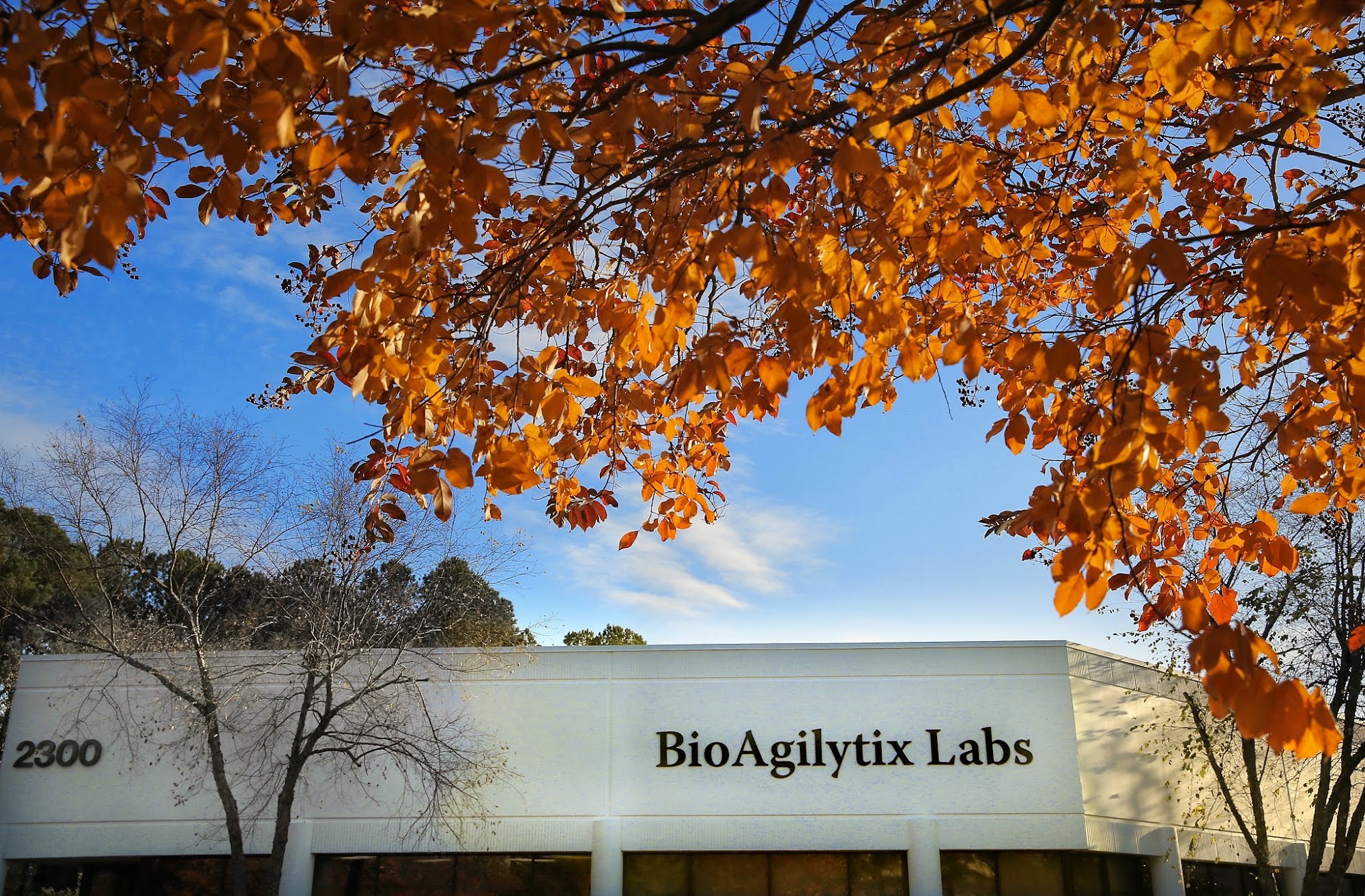BioAgilytix Labs