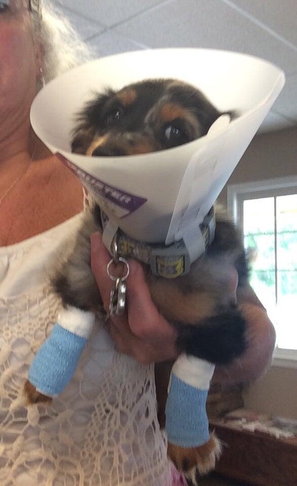 Photo credit: nextdoor