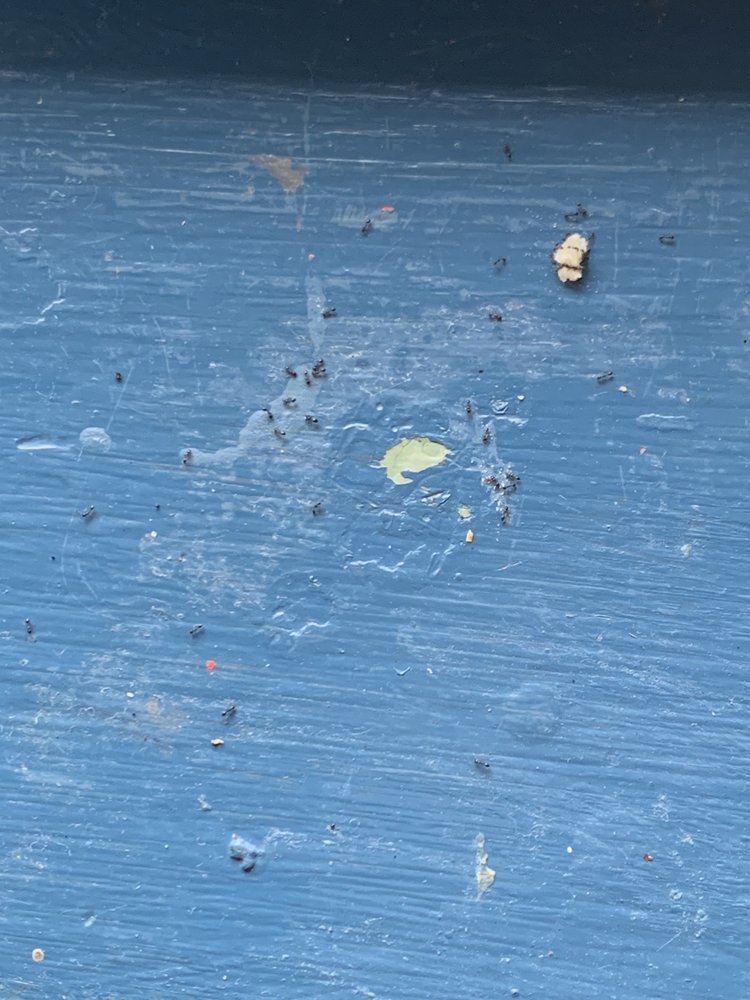 The 15 Best Restaurants In Kill Devil Hills Nc - Nov 2021 Selection By Restaurantji