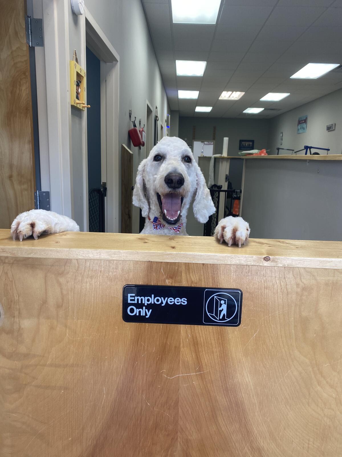Photo credit: nextdoor