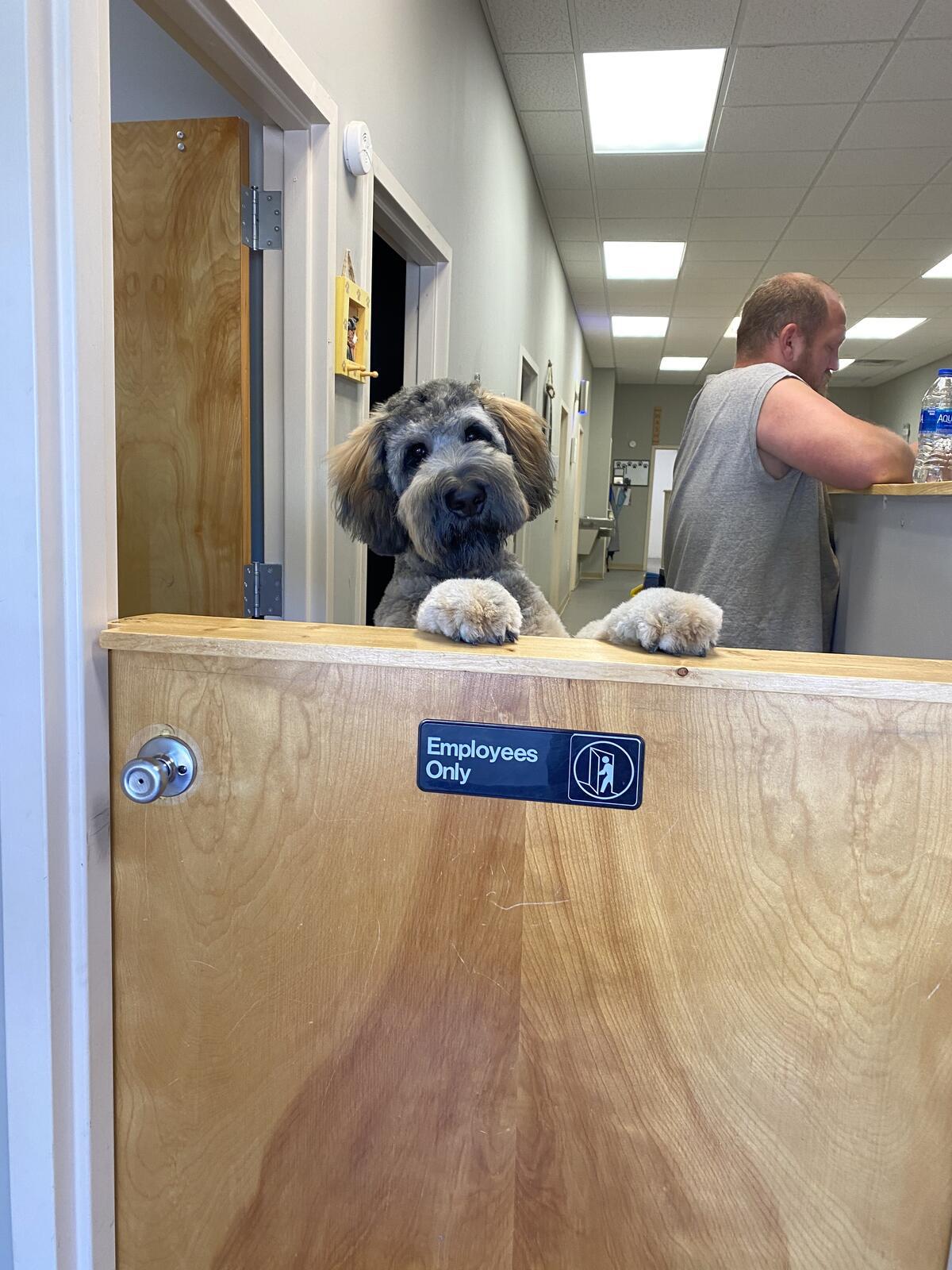 Photo credit: nextdoor