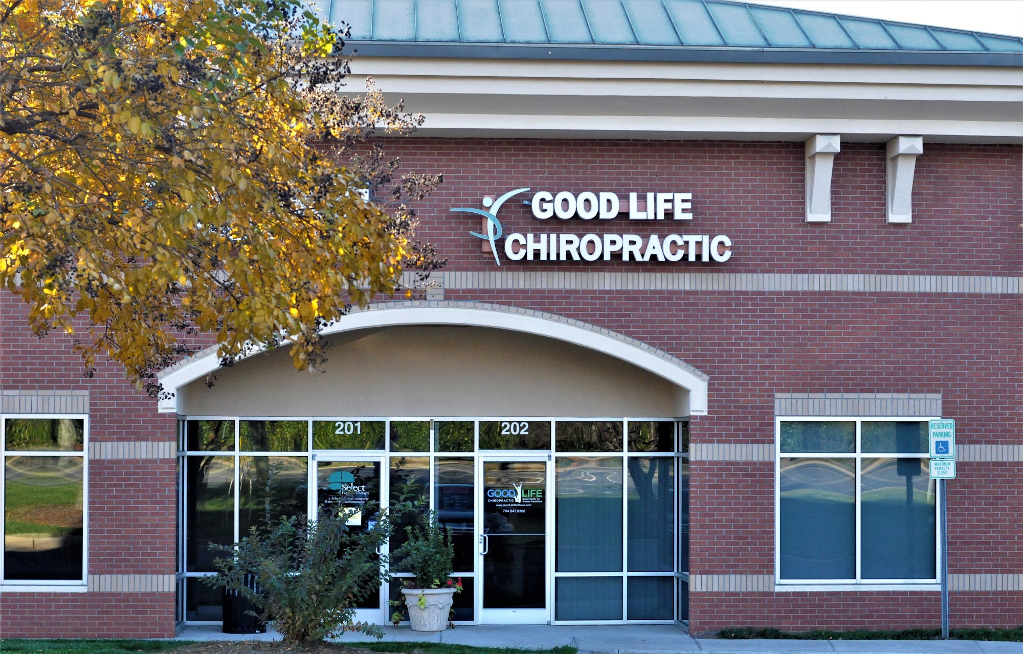 Good Life Chiropractic, P.A.
