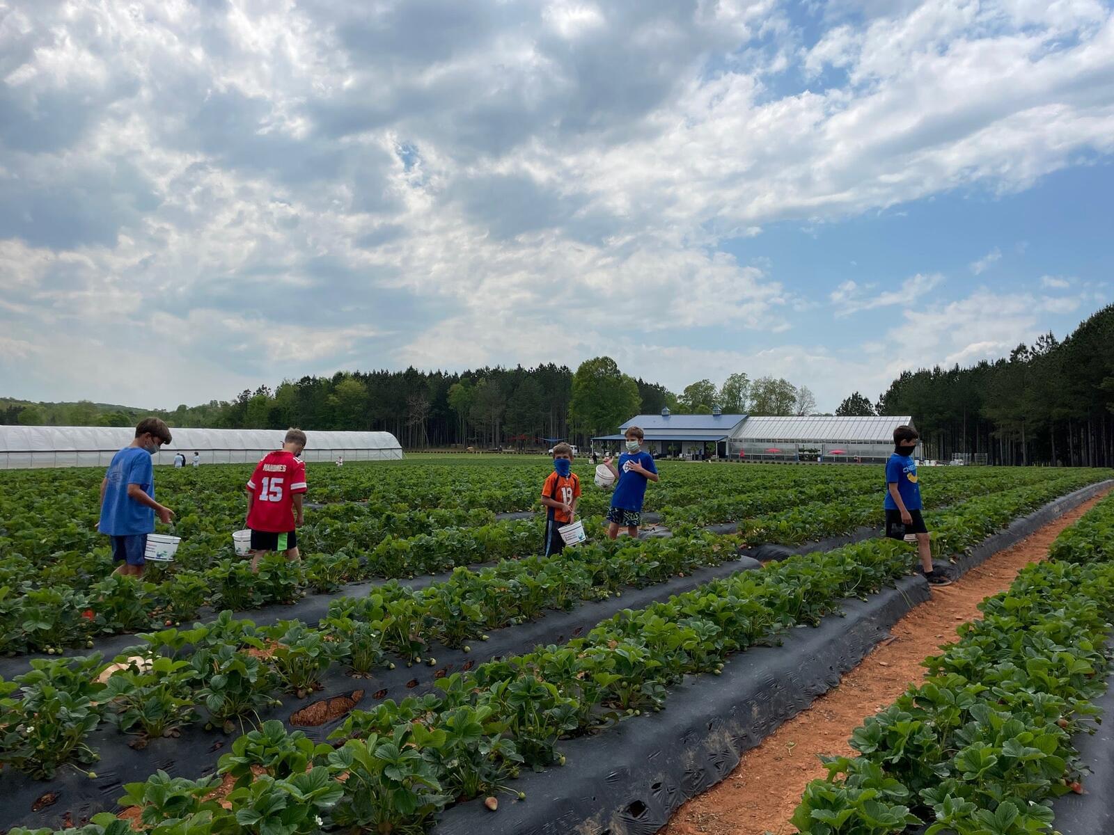 Photo credit: nextdoor