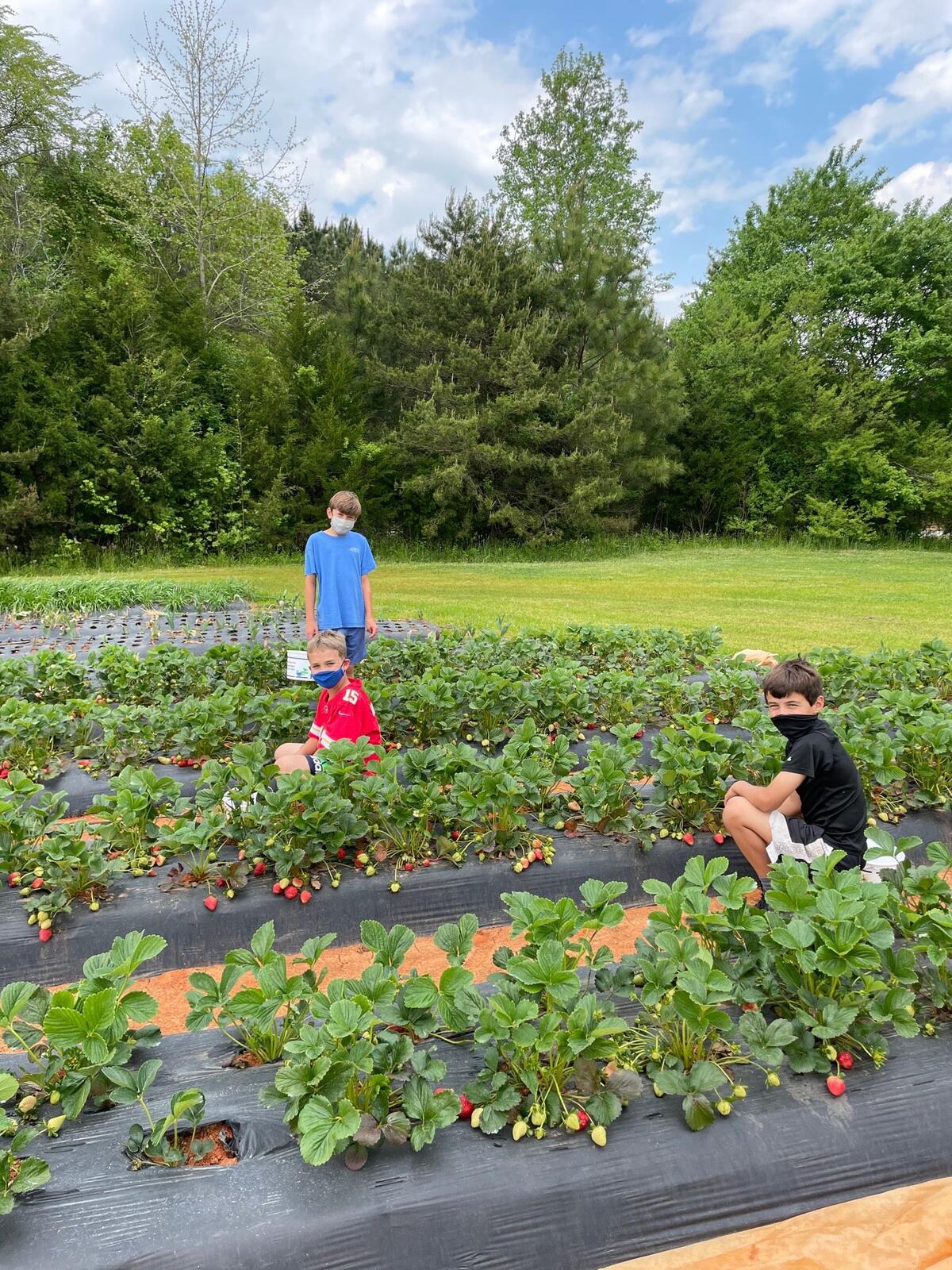 Photo credit: nextdoor