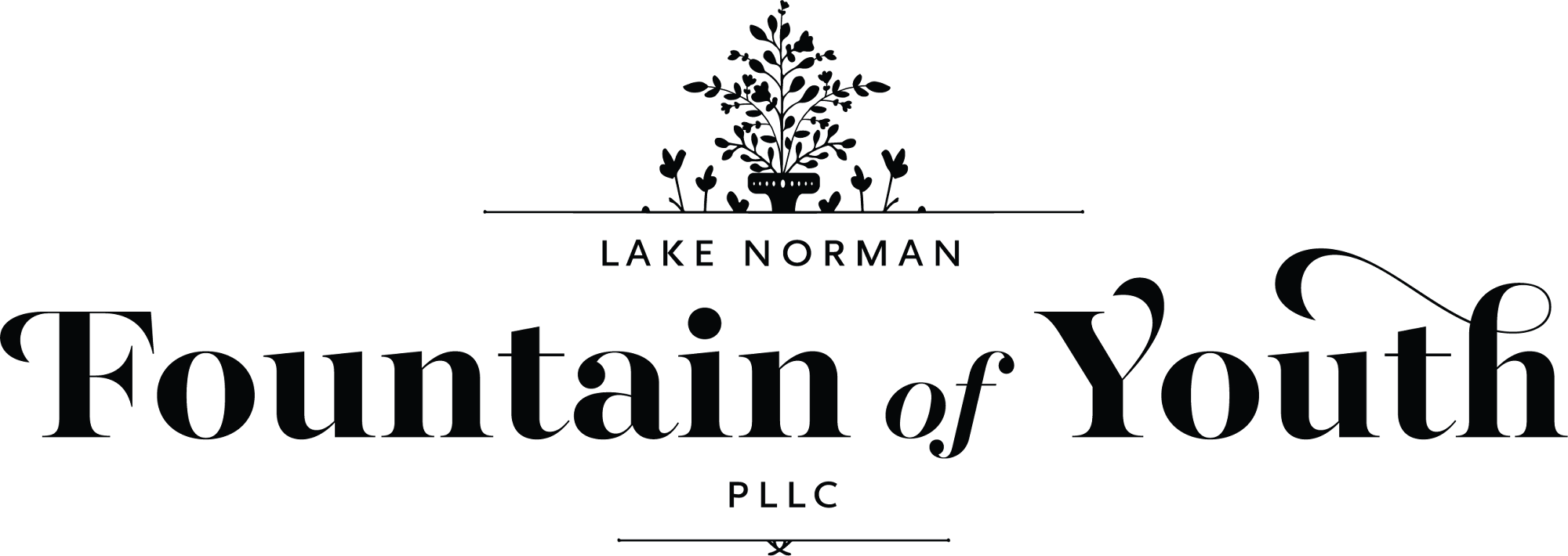 Lake Norman Fountain of Youth, PLLC