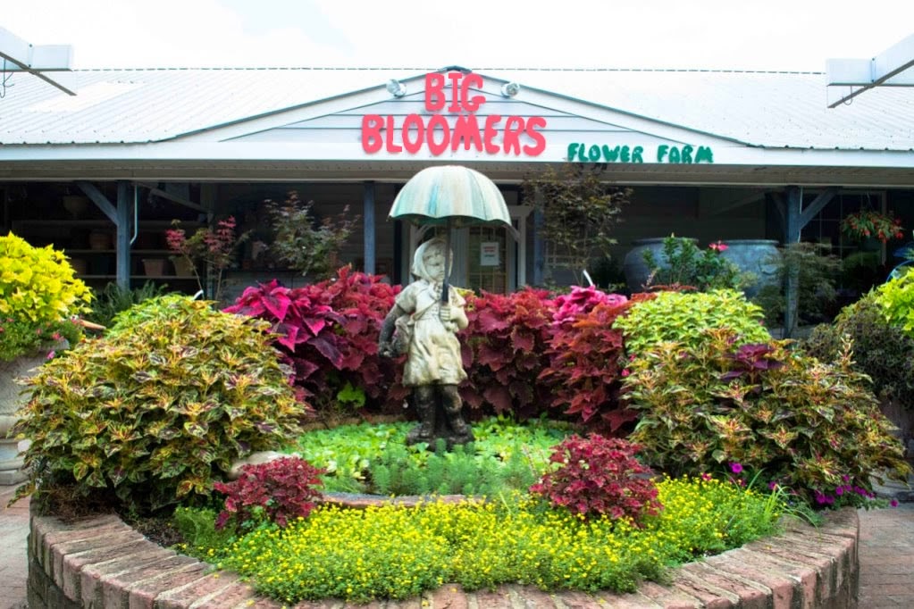 Big Bloomers Flower Farm