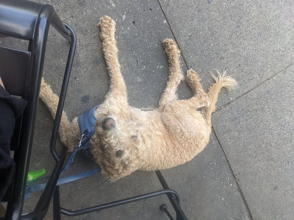 Photo credit: happycow