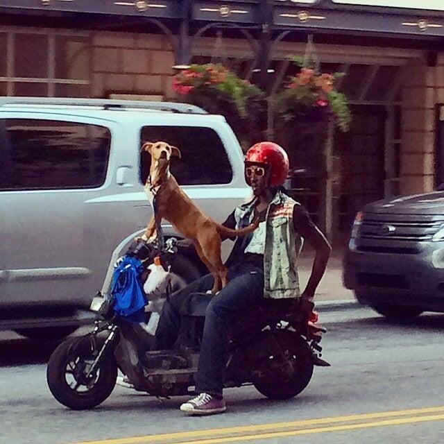 Photo credit: nextdoor