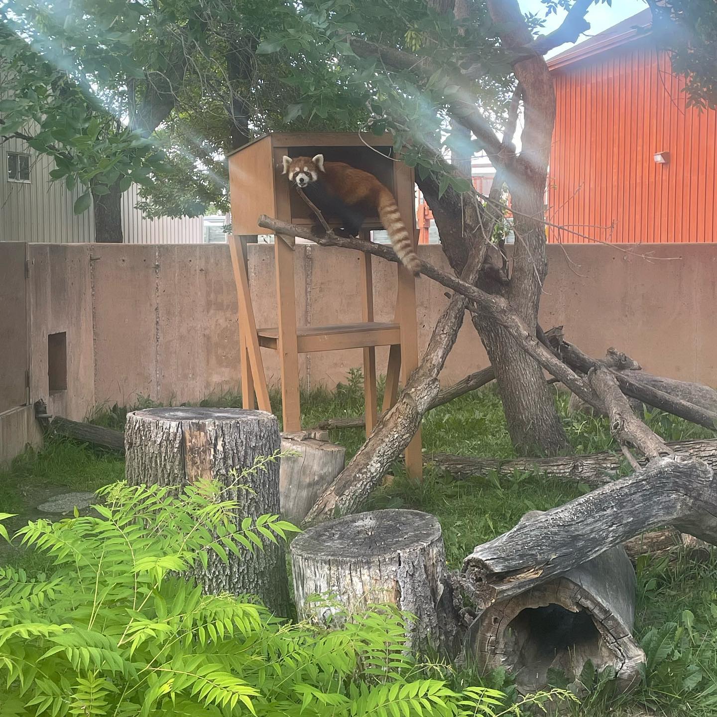 TOWN & COUNTRY CREDIT UNION - Minot ND - Hours, Directions, Reviews