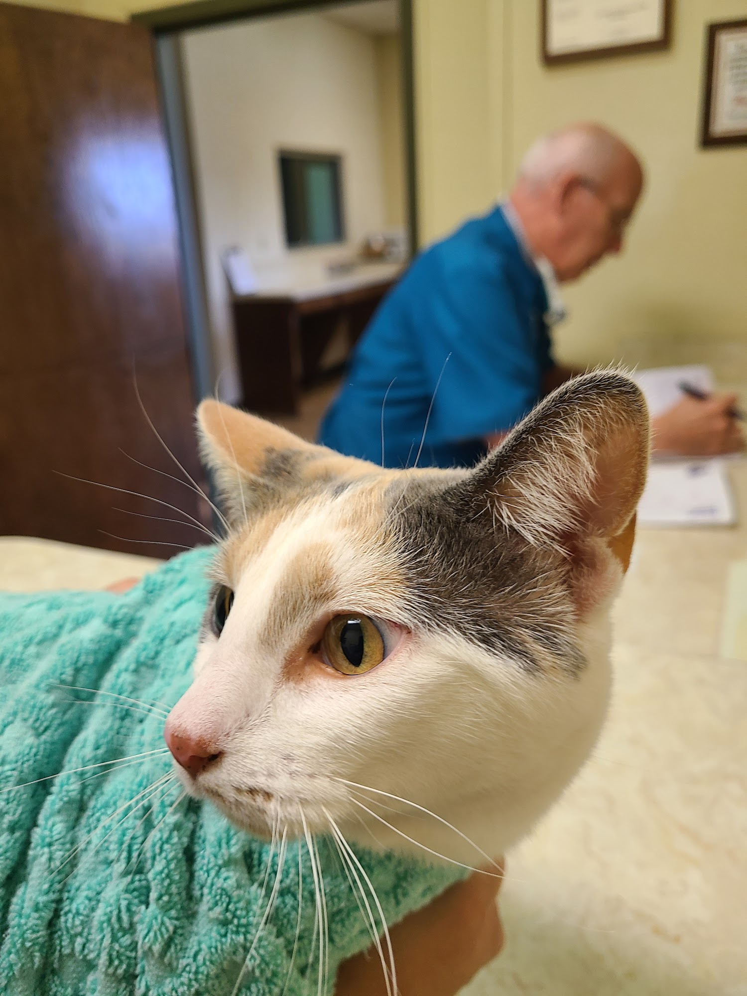 Plum Creek Veterinary Clinic Lexington