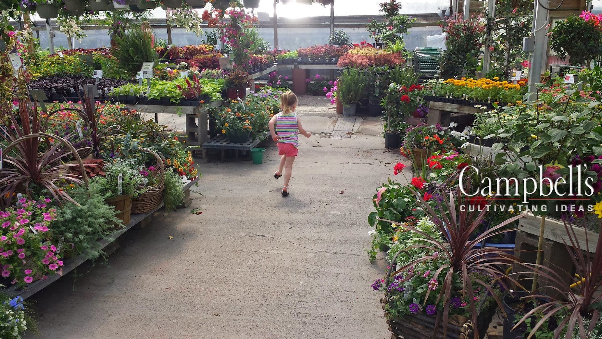 Campbell's Nurseries & Garden Centers Inc.