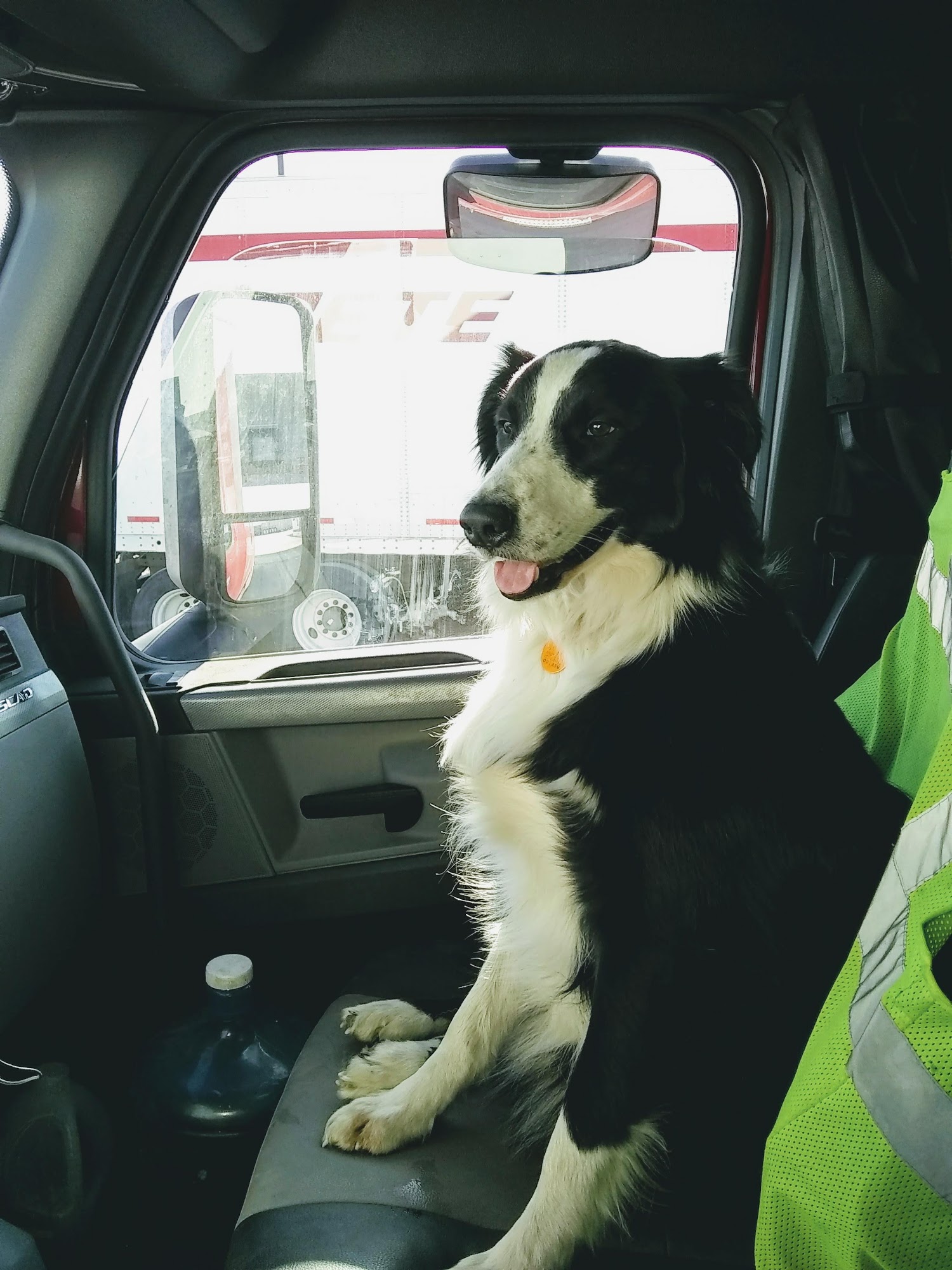 Midland Store Veterinary Clinic