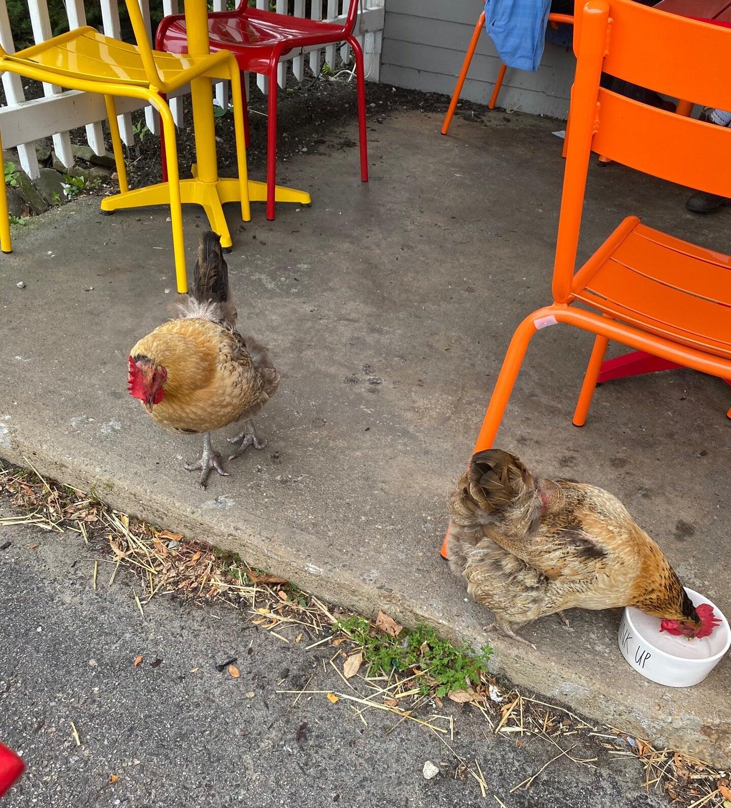 Photo credit: nextdoor