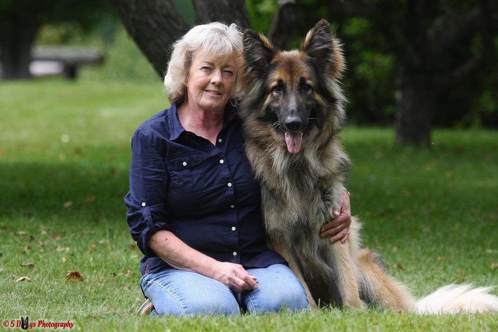 Di's Pet Connection Sitting Hudson