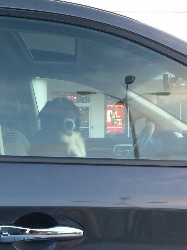 Photo credit: nextdoor