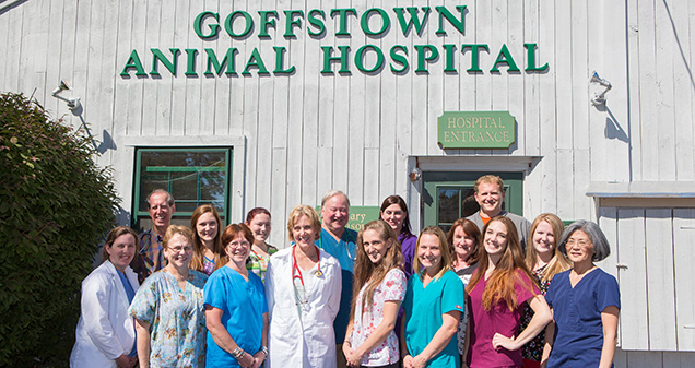 Goffstown Animal Hospital