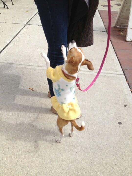 Photo credit: nextdoor