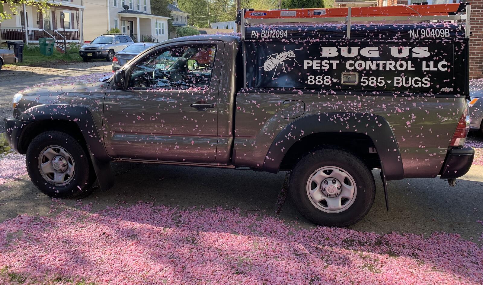 Photo credit: nextdoor