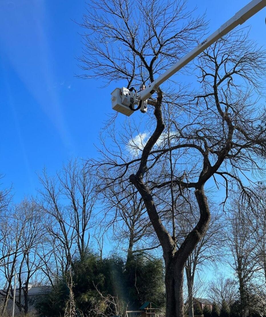 Photo credit: nextdoor