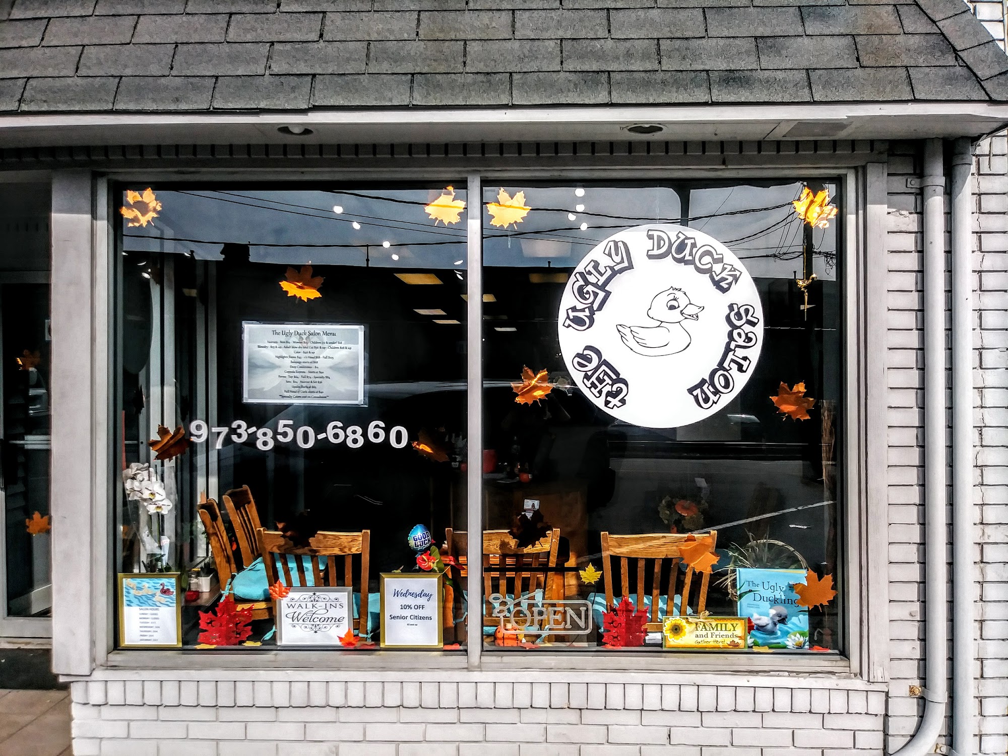 The Ugly Duck Salon