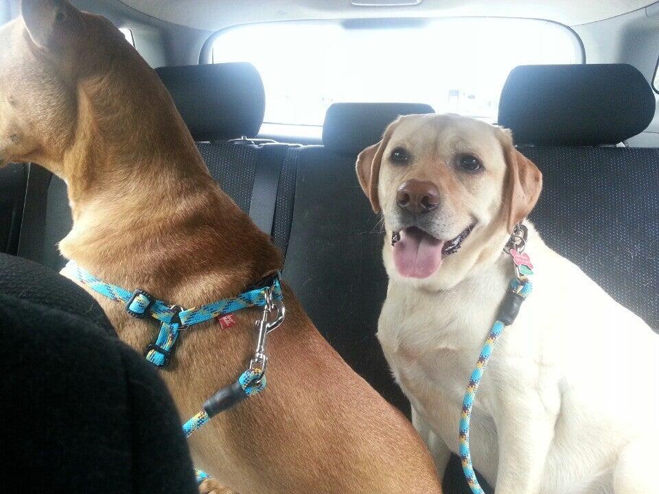 Photo credit: nextdoor