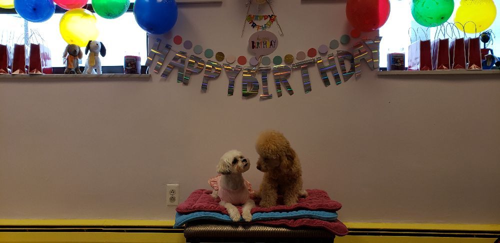 Photo credit: 