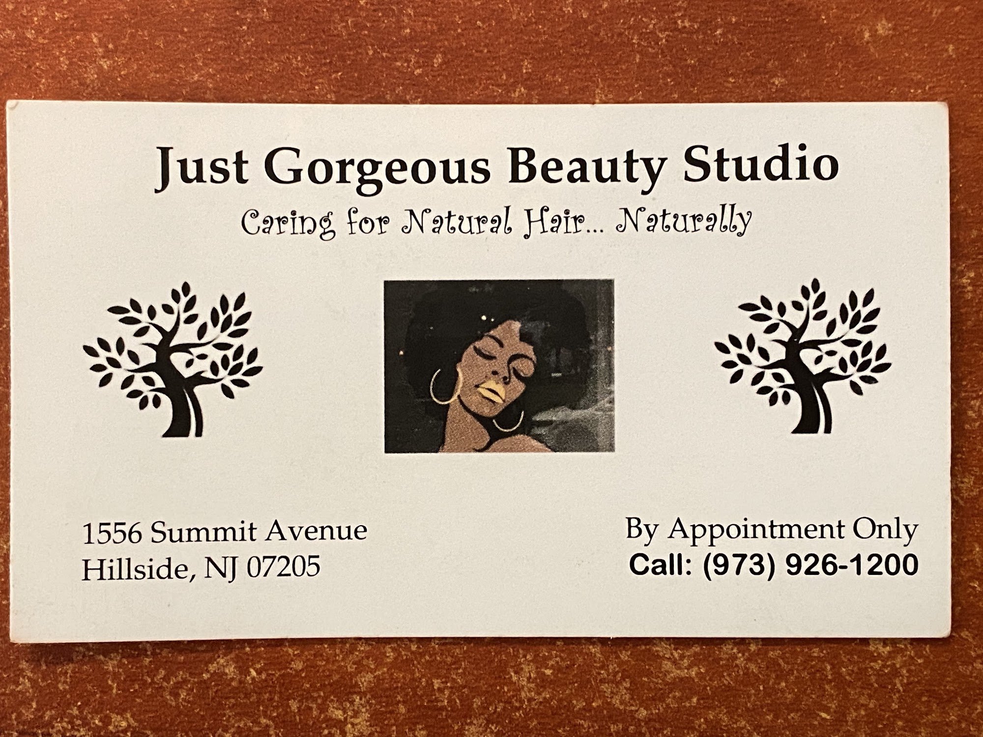 Just Gorgeous Beauty Studio 1556 Summit Ave, Hillside New Jersey 07205