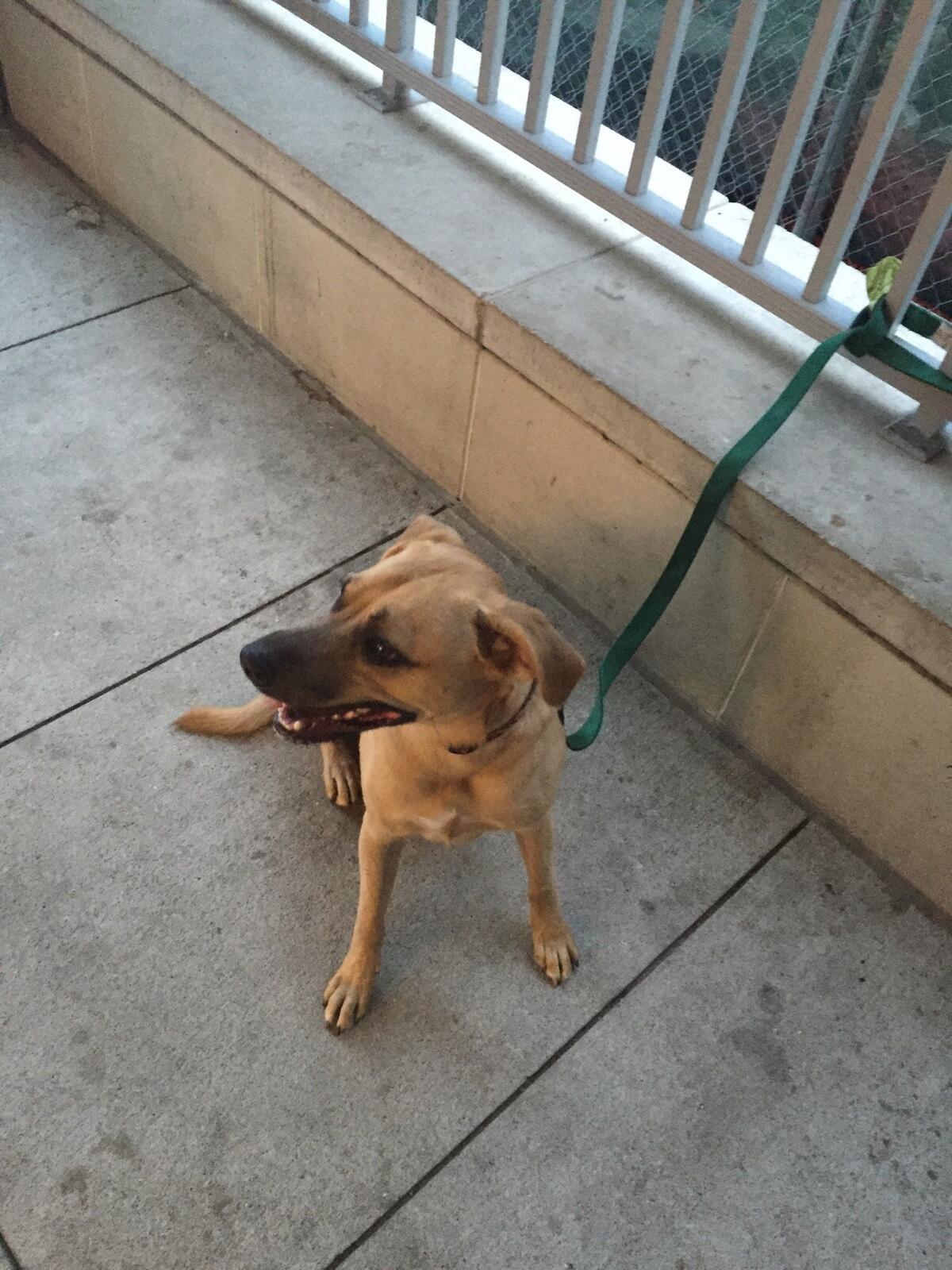 Photo credit: nextdoor