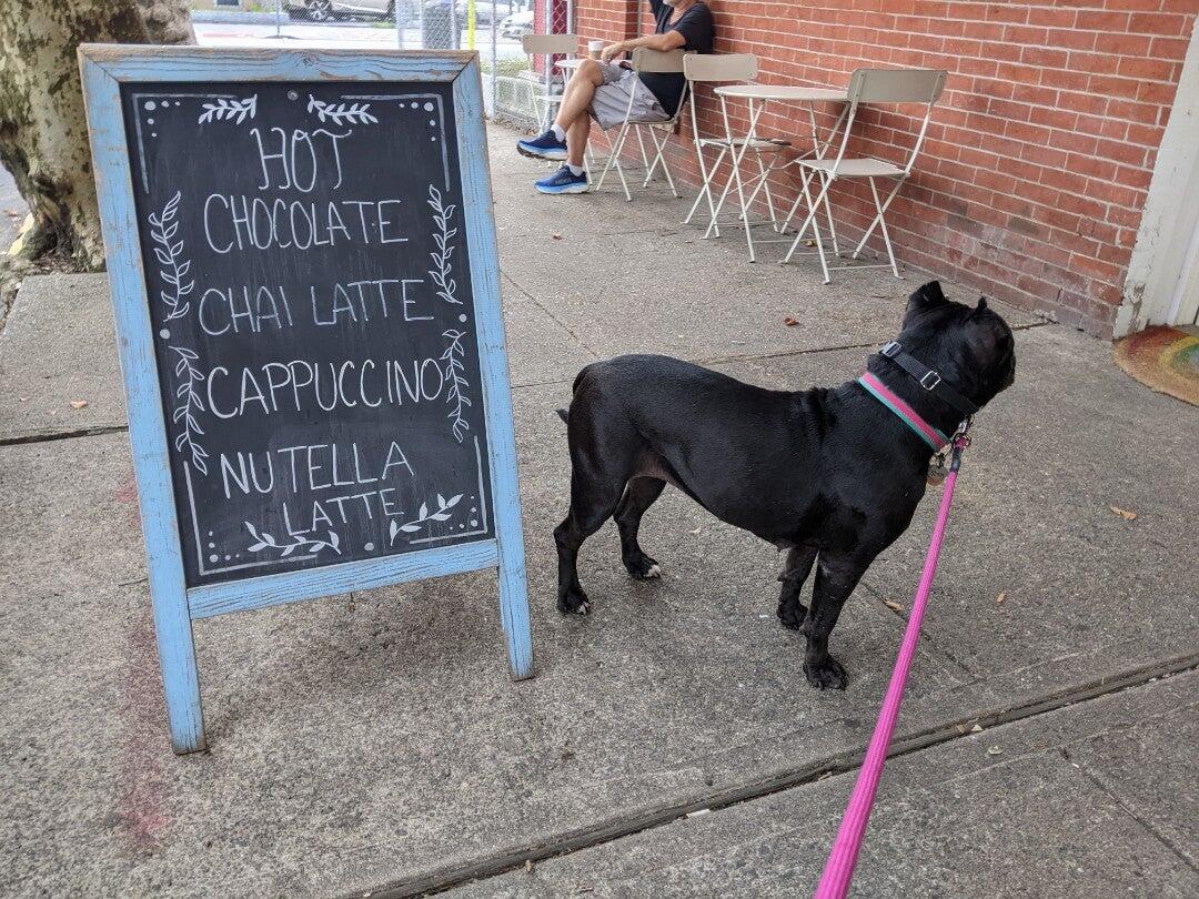 Photo credit: nextdoor