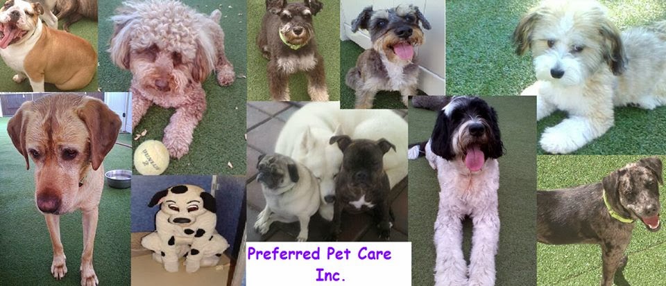 Preferred Pet Care Inc.