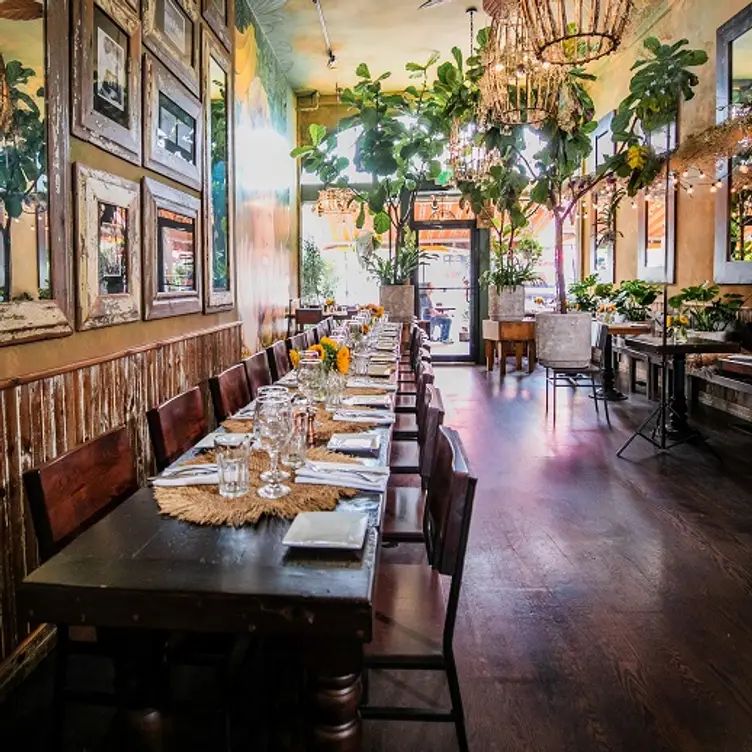 Photo credit: opentable