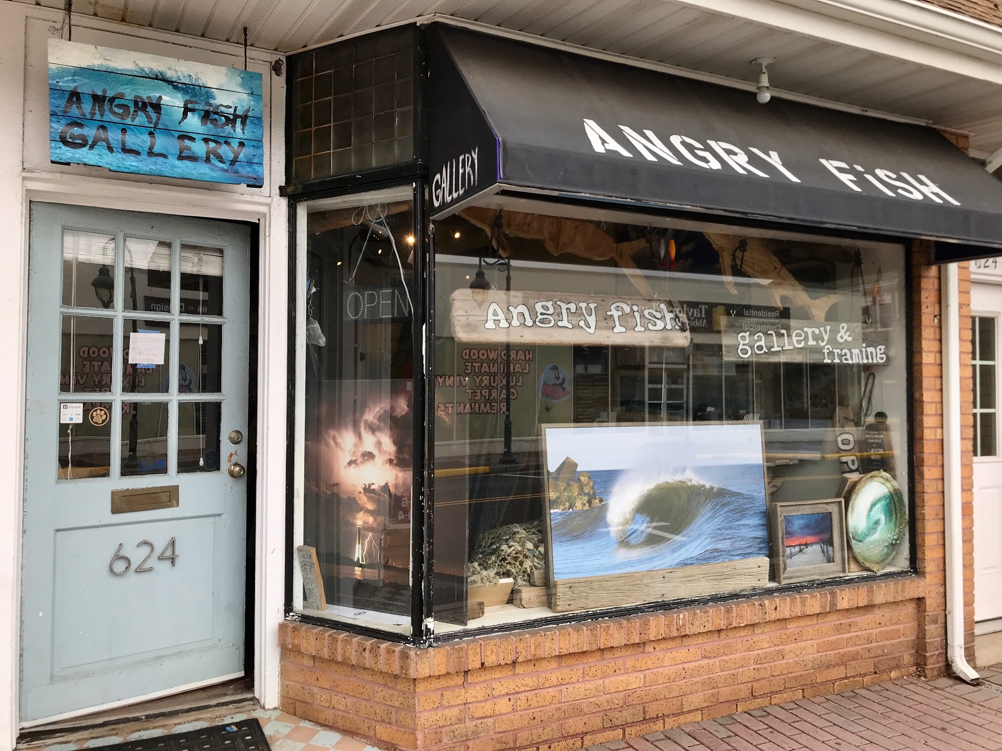 Angry Fish Gallery