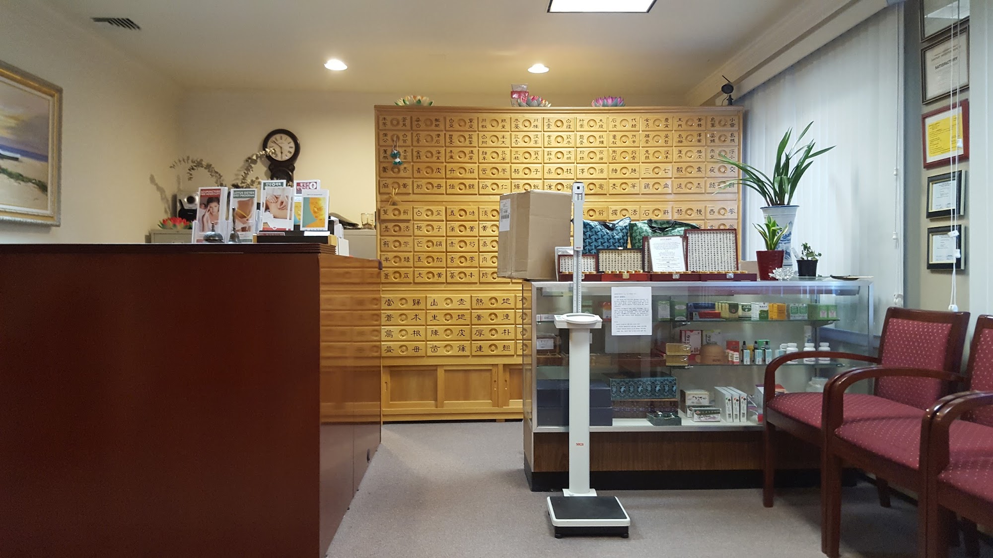 Acupuncture & Herb Clinic | 뉴저지 중앙 한의원 | 뉴저지 한의원, Acupuncture in Ridgefield, NJ