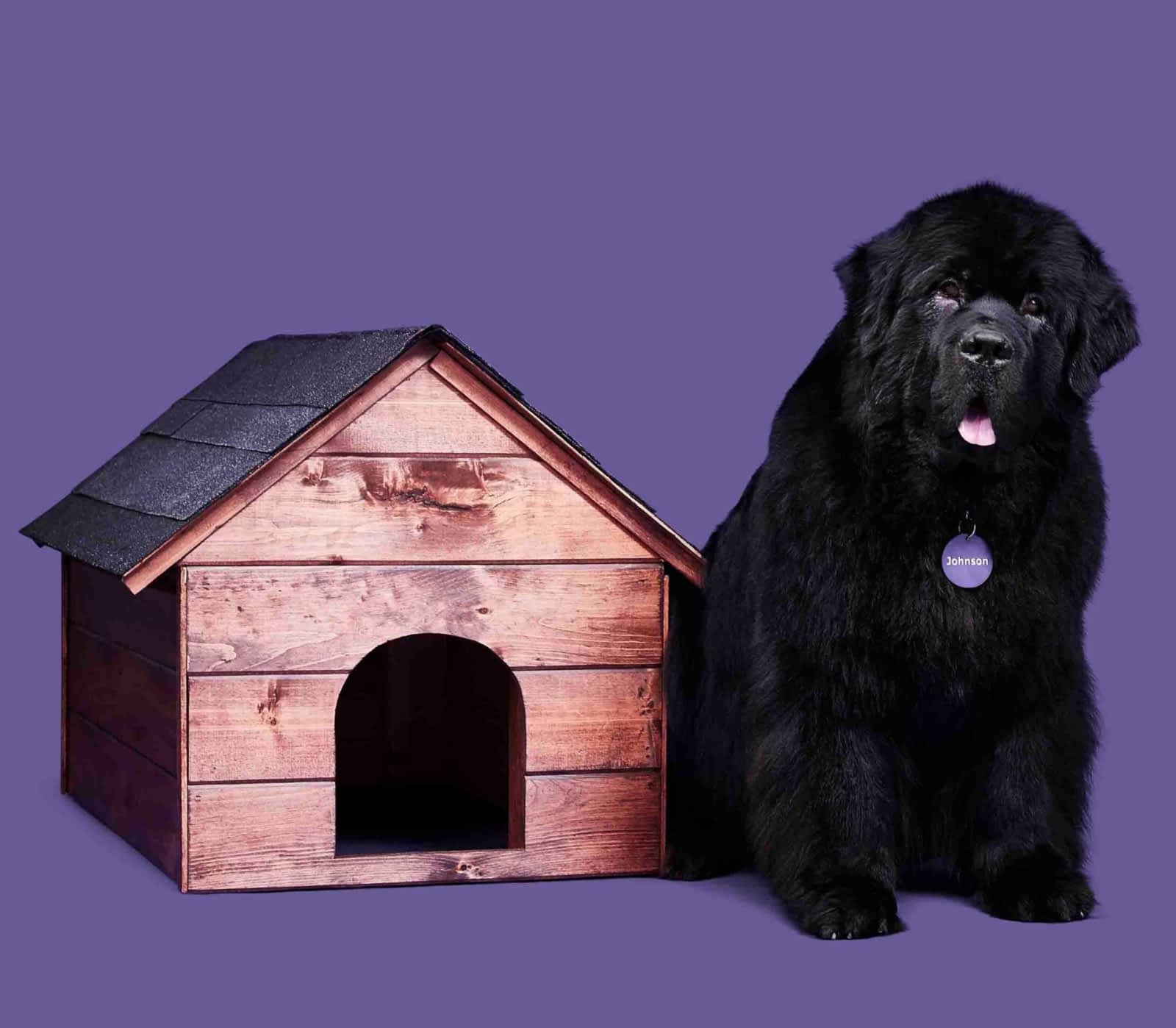 Photo credit: yellowpages.ca