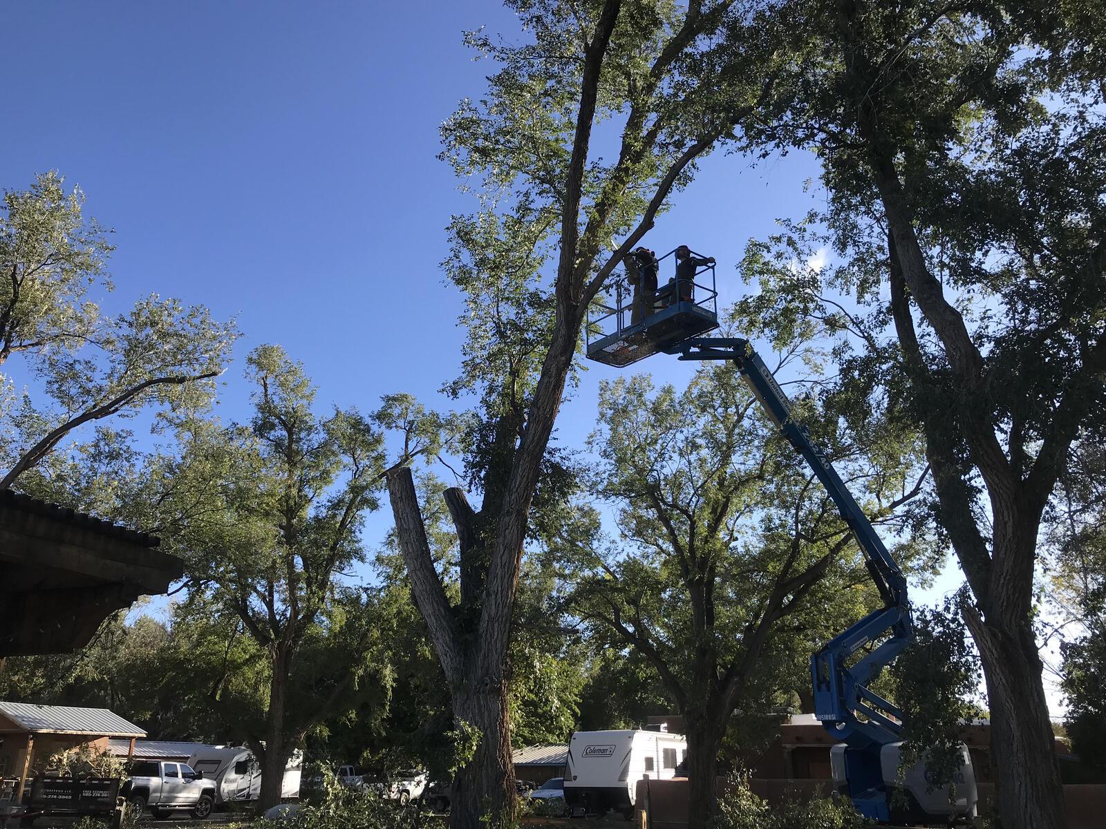 Photo credit: nextdoor