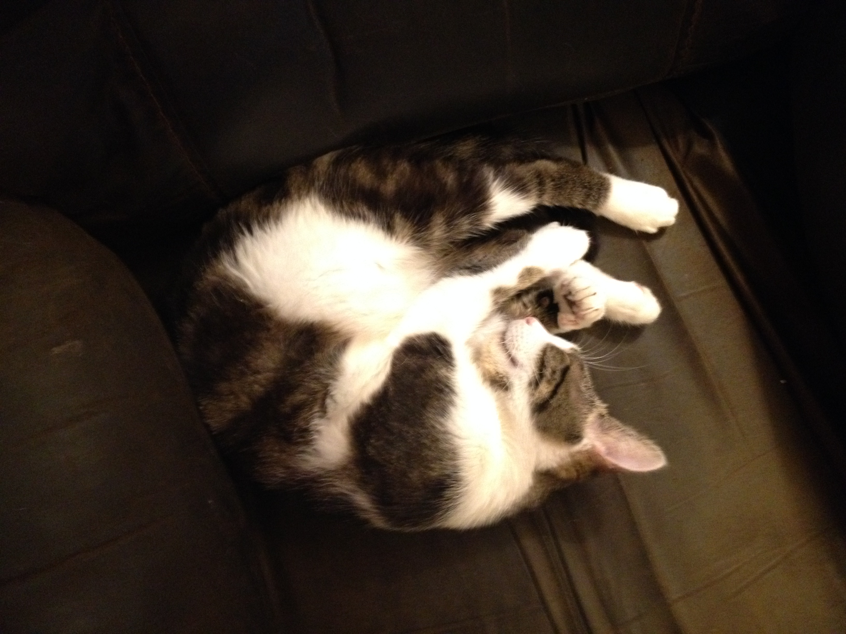 Photo credit: yellowpages