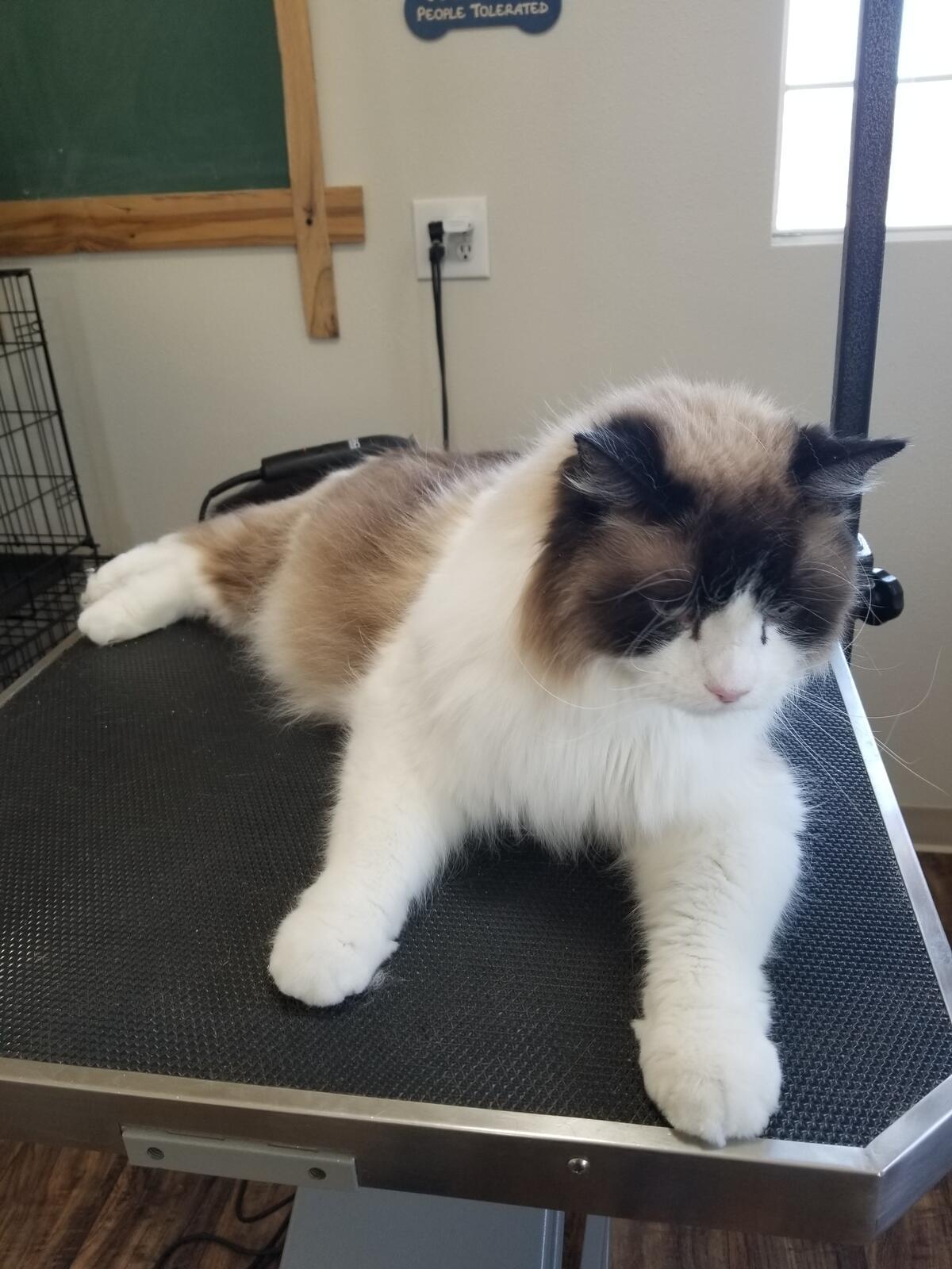 Photo credit: nextdoor