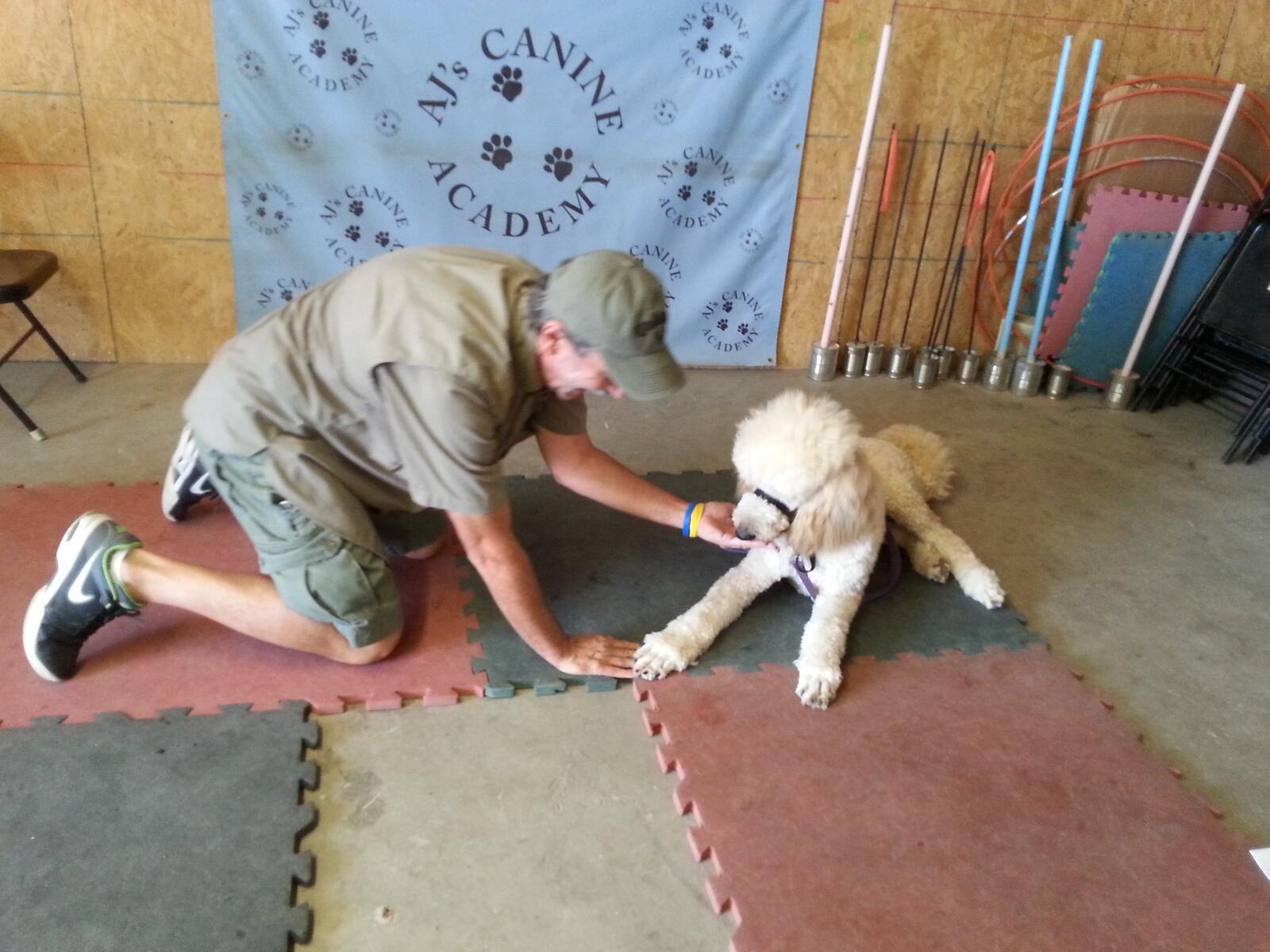 Photo credit: nextdoor