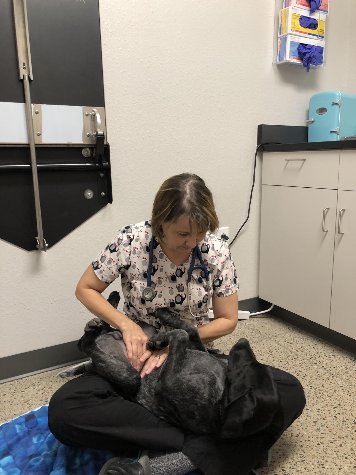 Photo credit: nextdoor