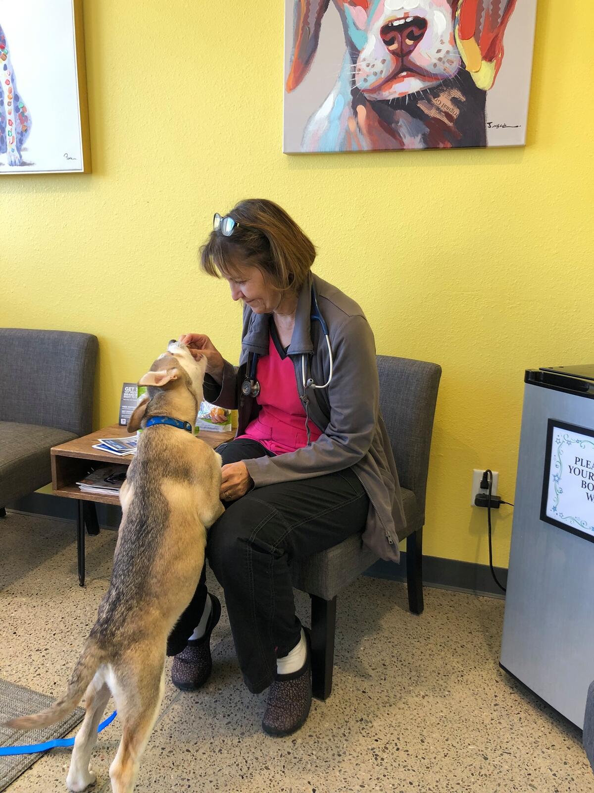 Photo credit: nextdoor