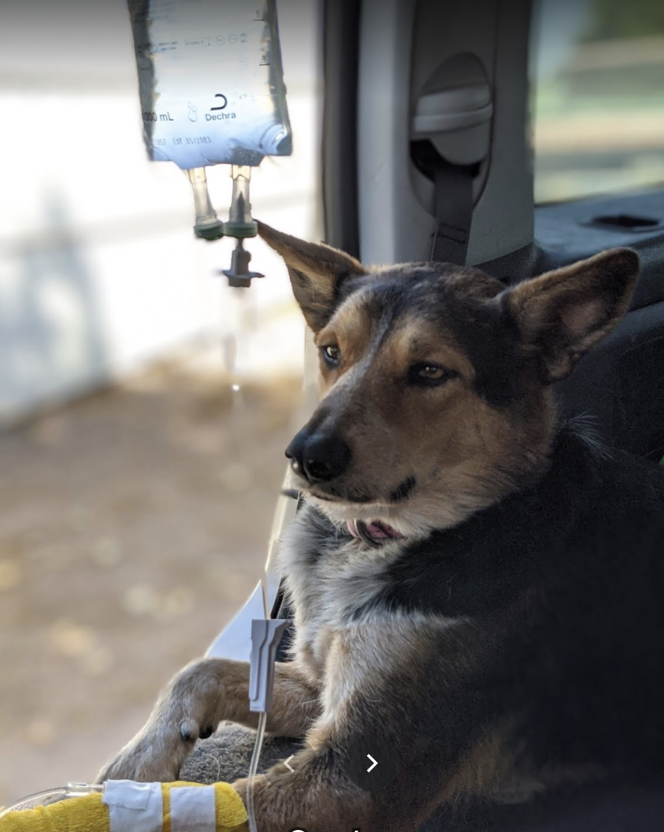 Photo credit: nextdoor