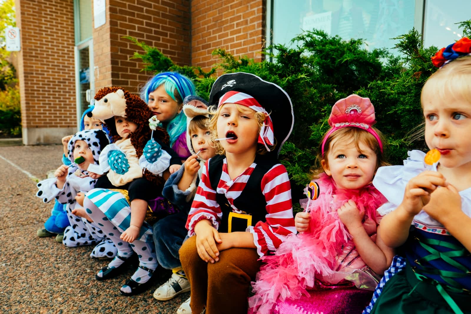 Photo credit: yellowpages.ca