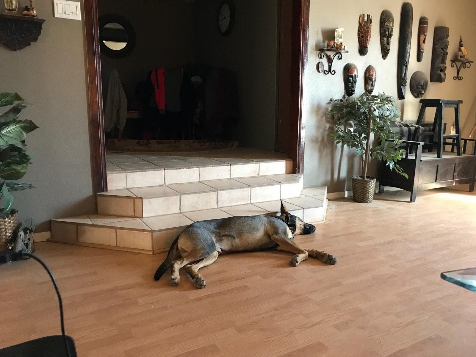Photo credit: nextdoor