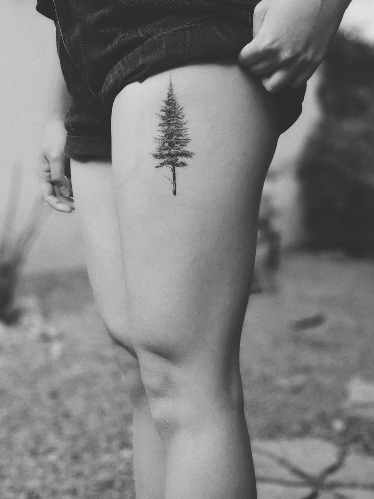Photo credit: 