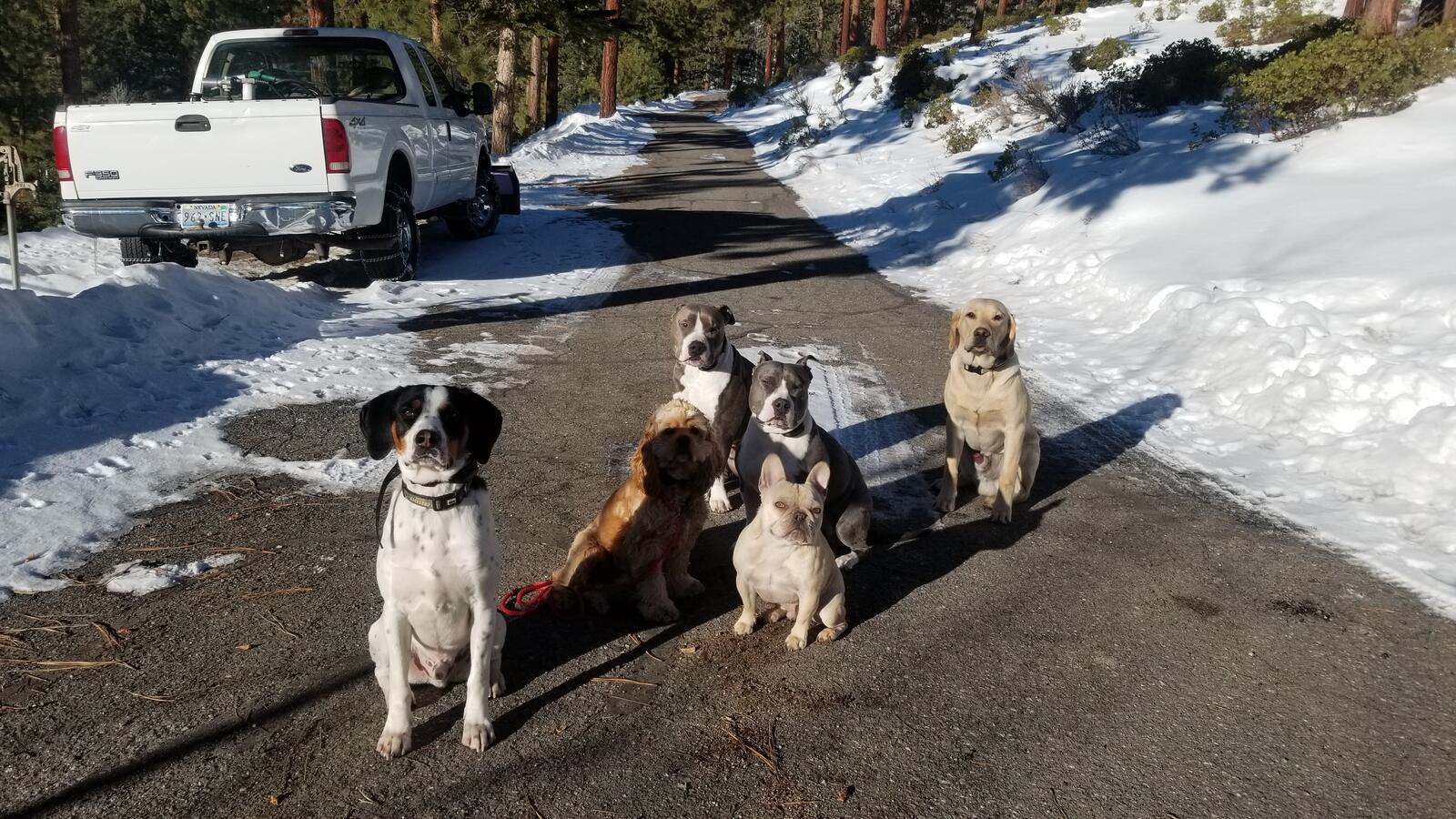 Photo credit: nextdoor