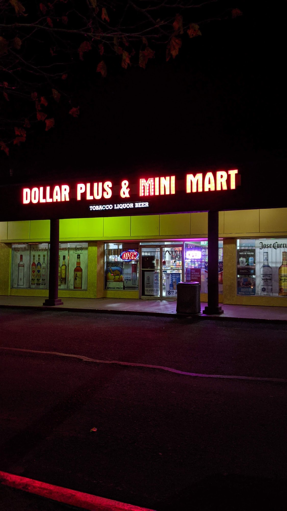 Dollar Plus & Mini Mart
